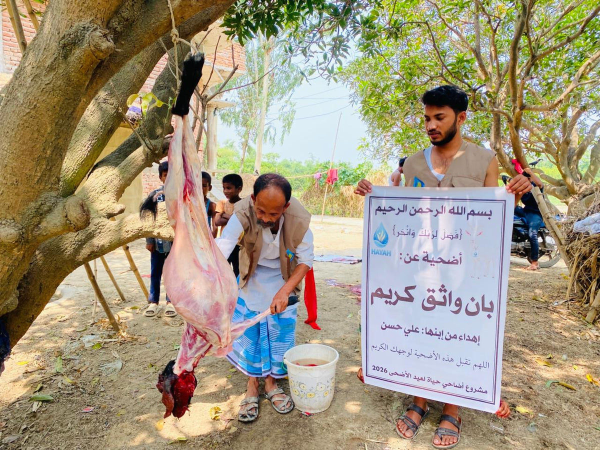 أضحية عن الميت: طريقة التنفيذ والتوزيع باسم من تحب